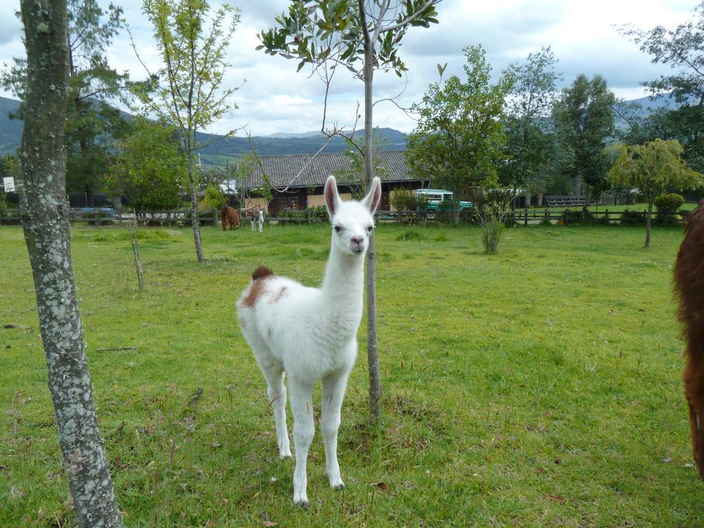 Hacienda Hosteria San Luis Cayambe Exterior photo