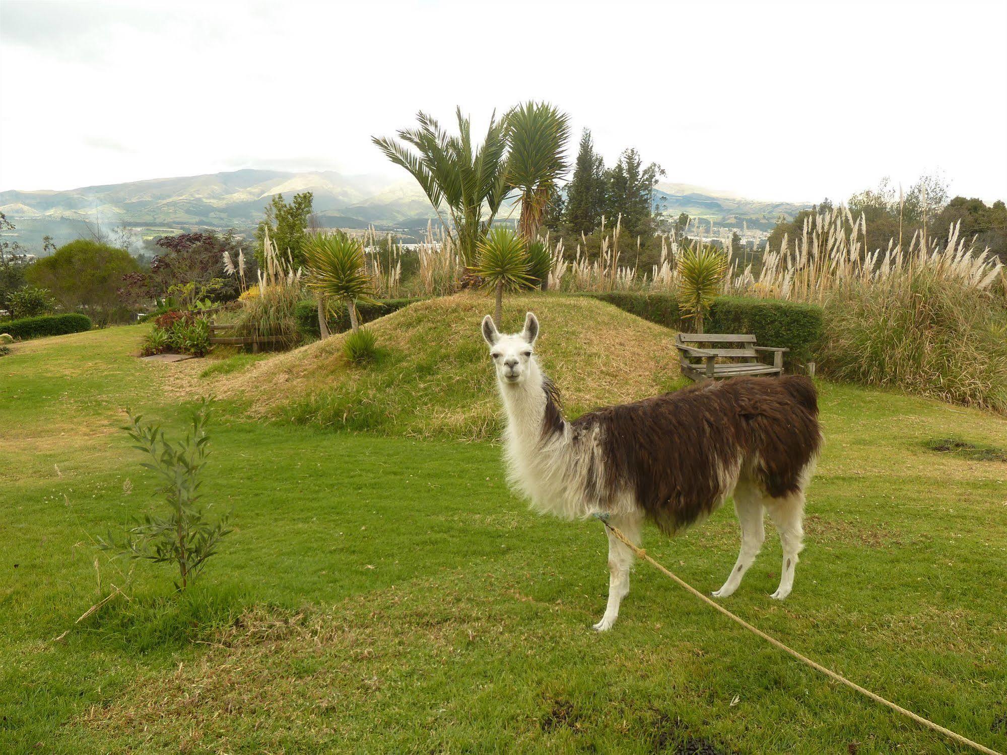 Hacienda Hosteria San Luis Cayambe Exterior photo